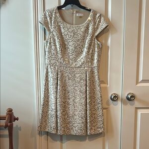 Calvin Klein Sequin Cap Sleeve Dress